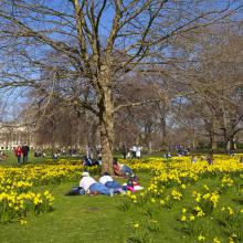 Primavera al sol